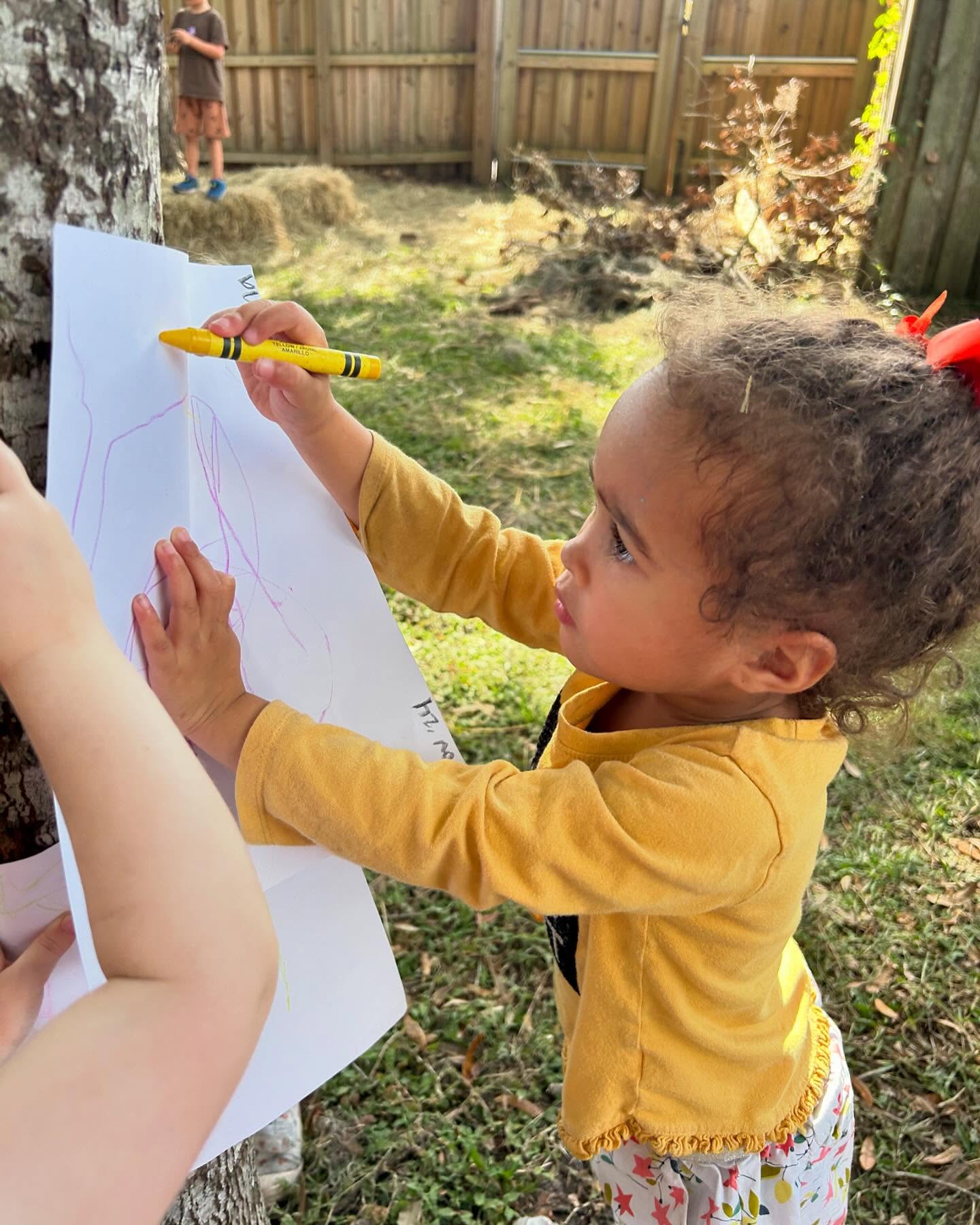 crayon rubbings of natural materials